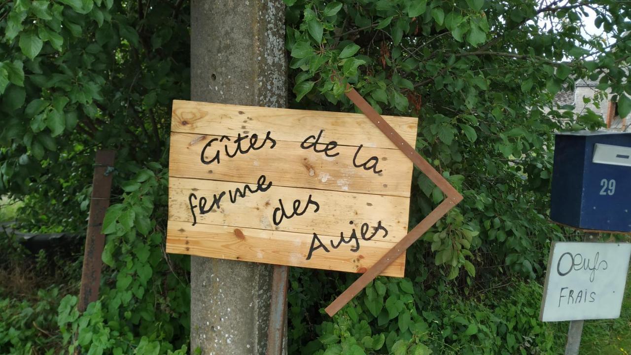 Gite Familial Ferme Des Aujes Falaen Onhaye Luaran gambar
