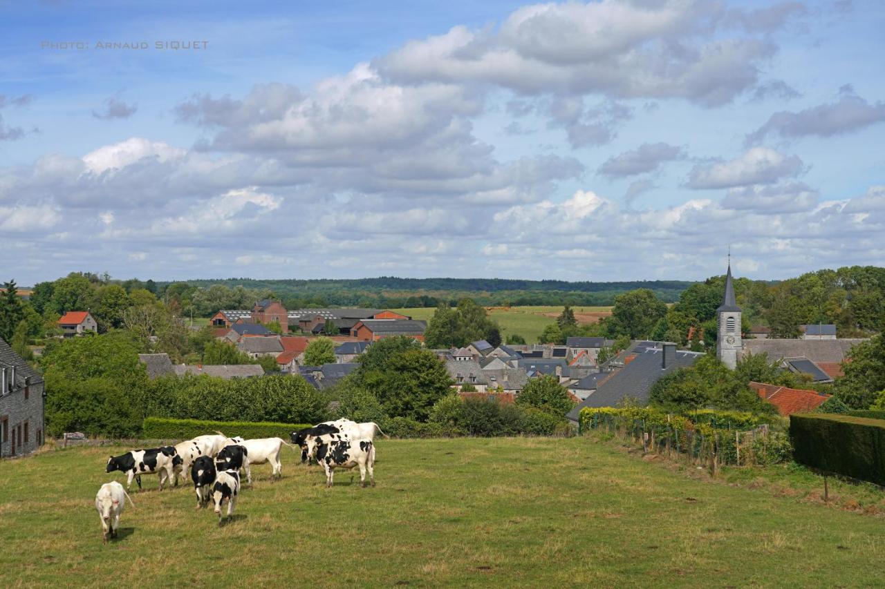Gite Familial Ferme Des Aujes Falaen Onhaye Luaran gambar